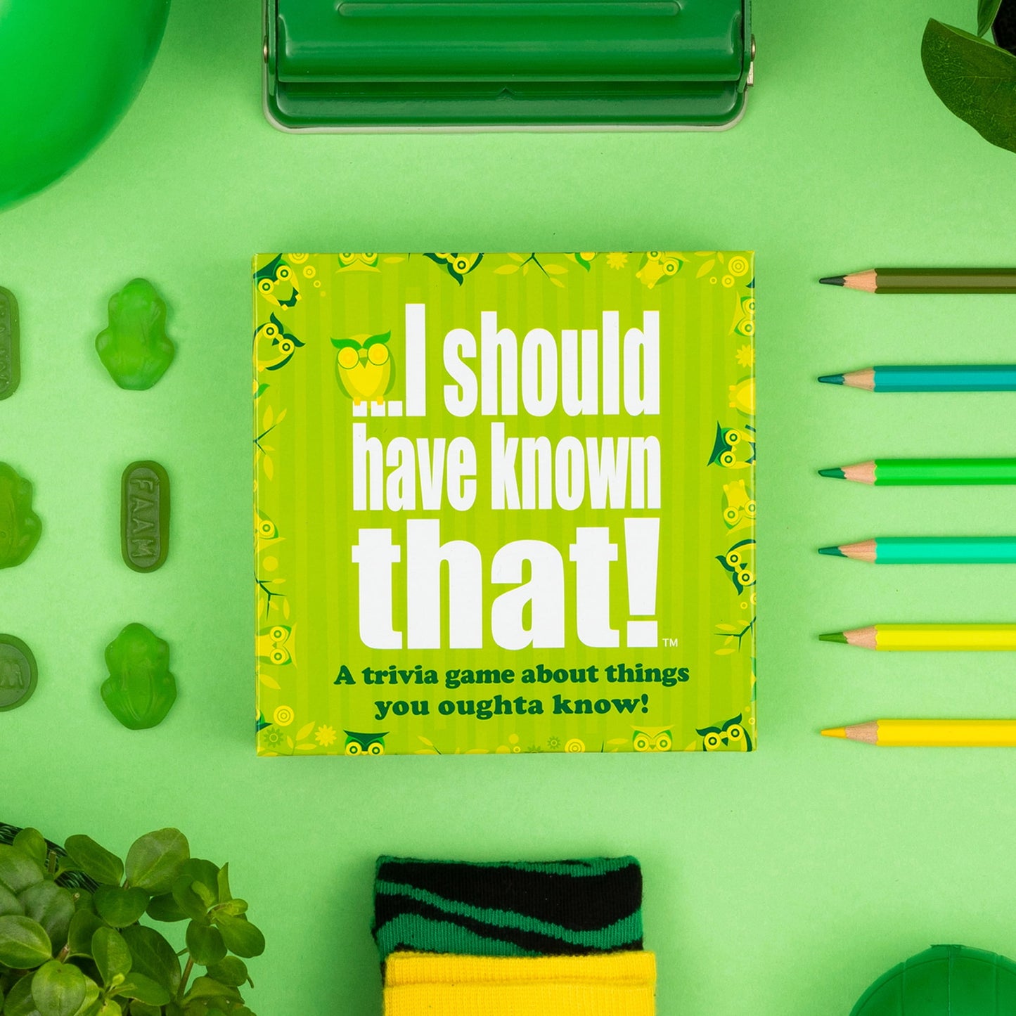 I Should Have Known That - a Trivia Game About Things You Ought to Know - by Hygge Games